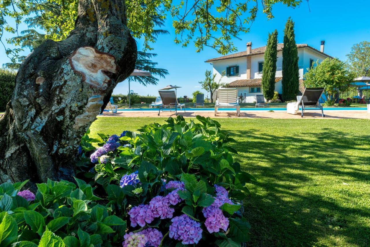 Il Raggio Di Sole Villa Bagnoregio Exterior photo